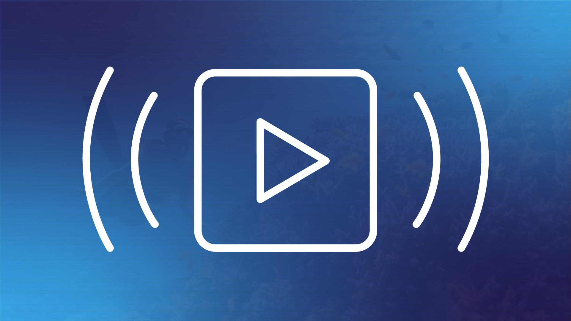 Video Stream - M3U - digital signage template
